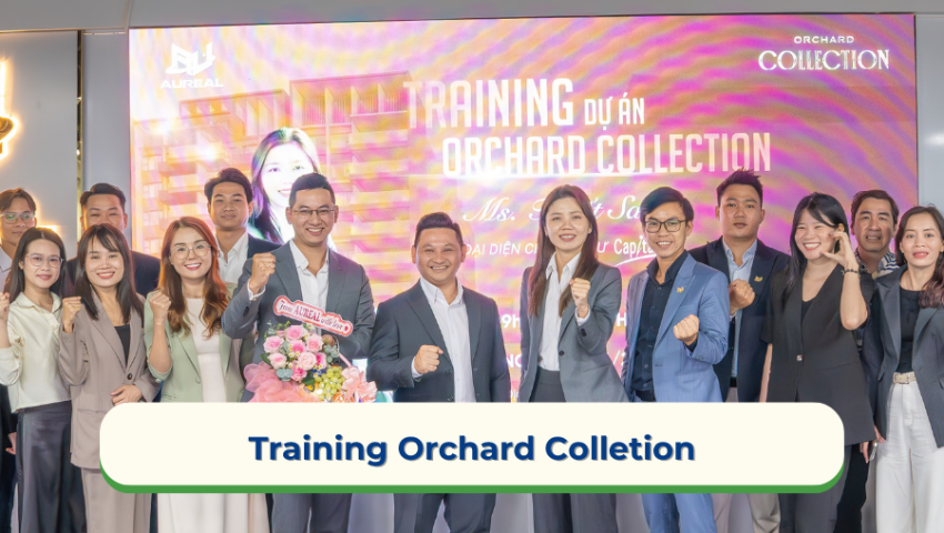 Training dự án Orchard Collection