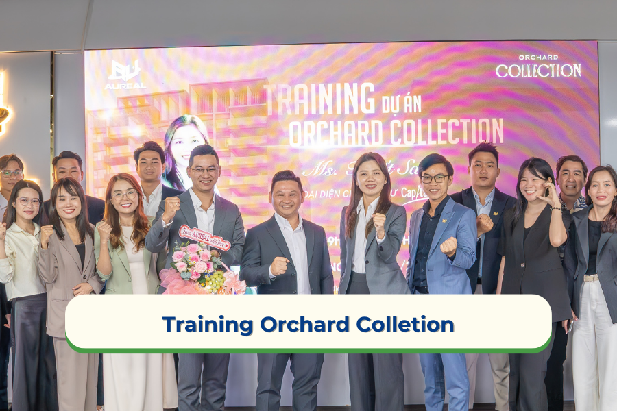 Training dự án Orchard Collection